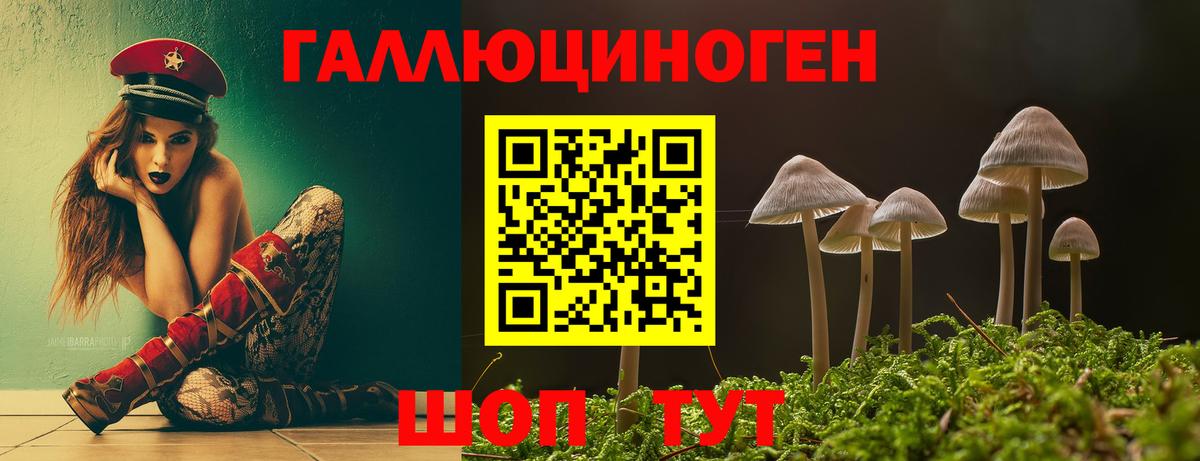 Галлюциногенные грибы GOLDEN TEACHER  Галлюциногенные грибы Psilocybine cubensis  Ливны  Вход с VPN 
