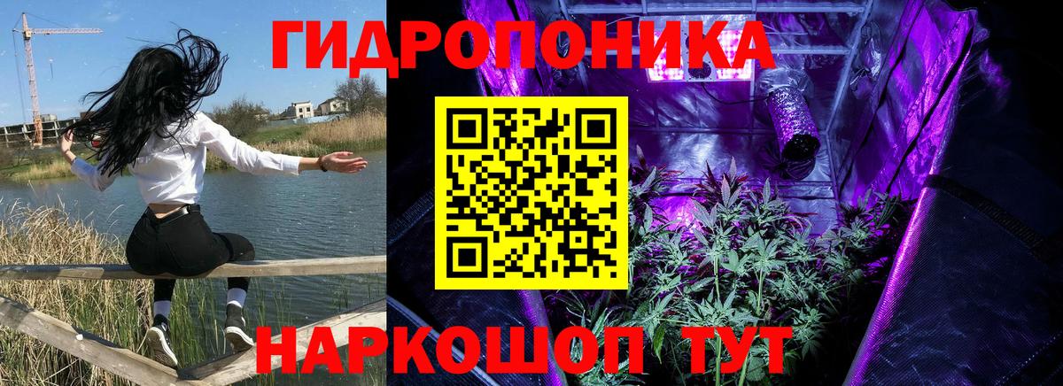 Марихуана Bruce Banner  Марихуана OG Kush  Вход с VPN  Бошки марихуана AK-47  Ливны 